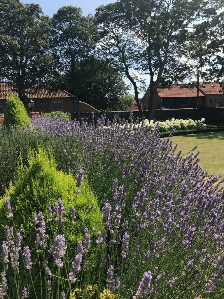 Lavender at Morston Hall, owned by Michelin-starred chef Galton Blackiston