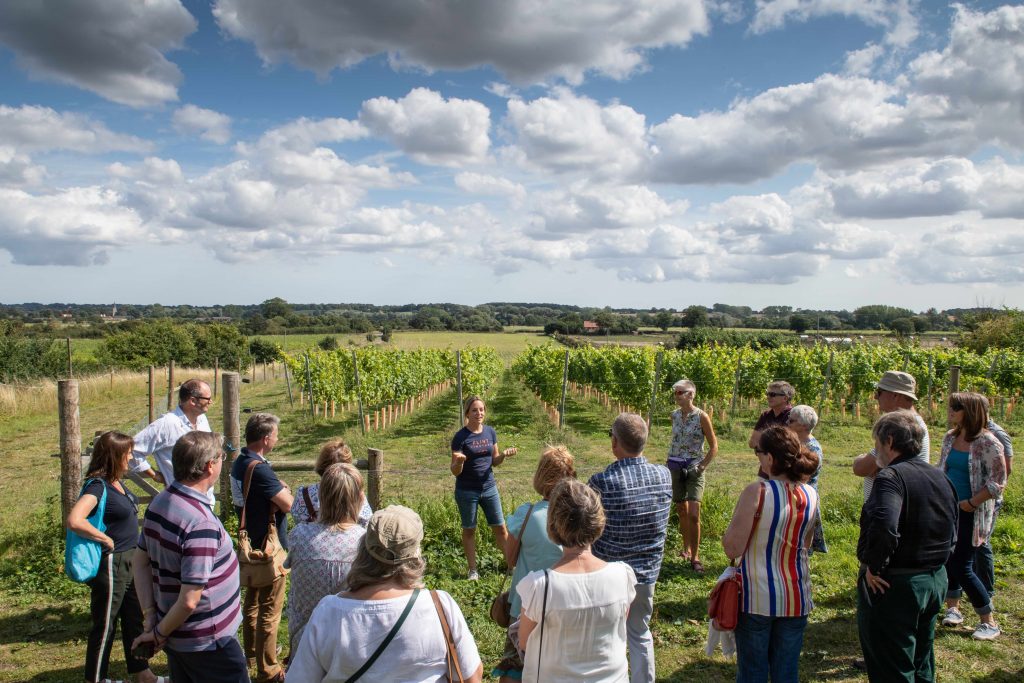 Flint wine tour