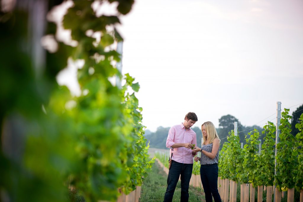 Flint Vineyard_Ben & Hannah Witchell in the vines