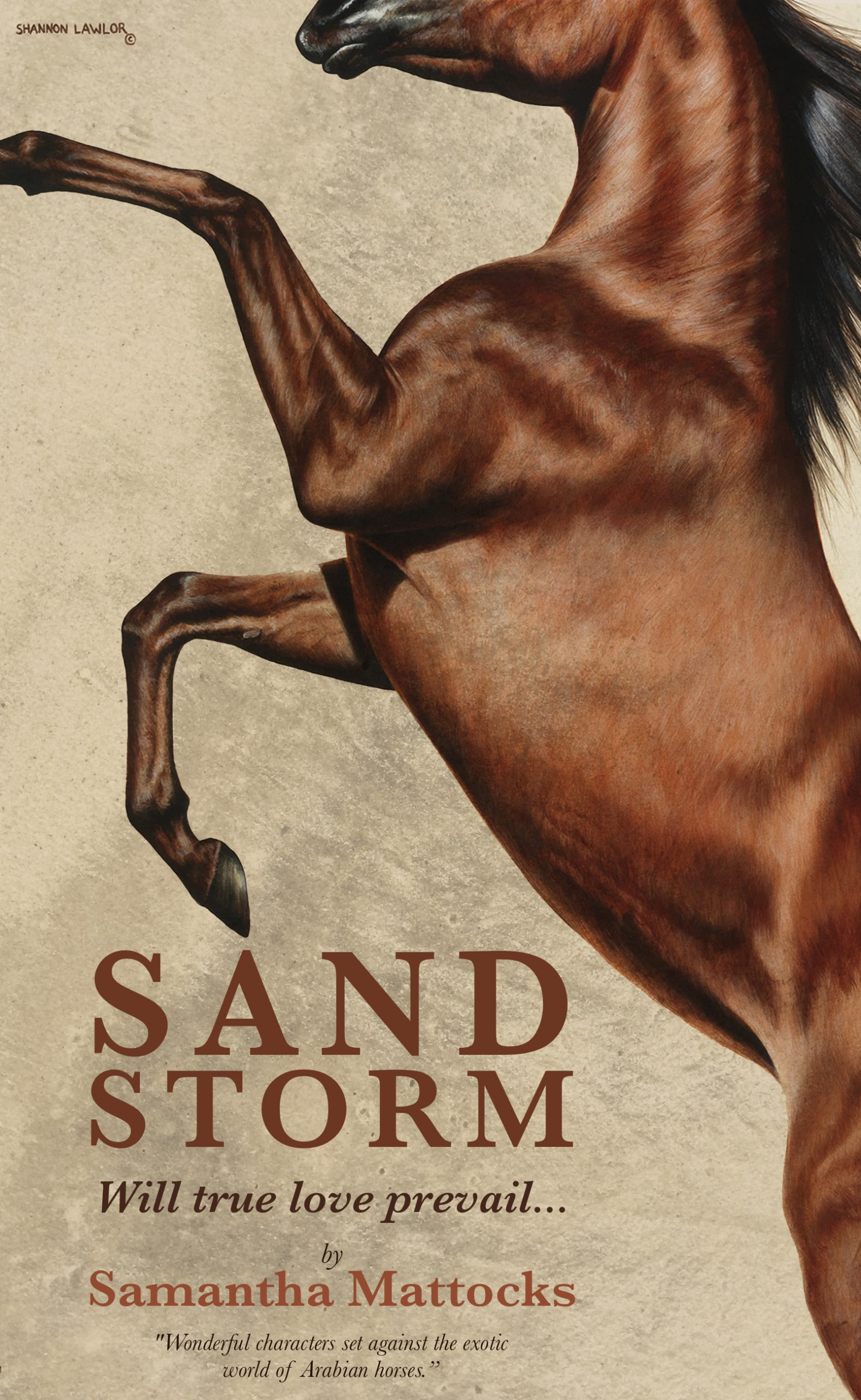 Sandstorm cover